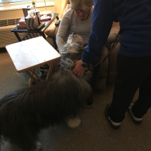 therapy animal visits 3-min