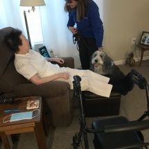 therapy animal visits 4-min