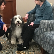 therapy animal visits 6-min