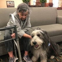 therapy animal visits 8-min