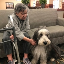 therapy animal visits7-min